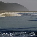 In Comes the Tide
