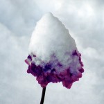 snowy-flower
