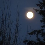 Full Moon Rising