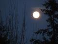 Full Moon Rising