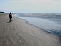 Greetings From the Coast