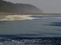 In Comes the Tide